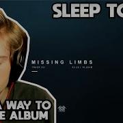 There S Something Magical About Vessel And An Acoustic Guitar Sleep Token Missing Limbs
