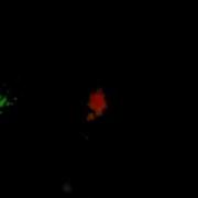 JMonkey Emitter01