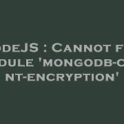 NodeJS Cannot Find Module Mongodb Client Encryption