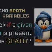 Bash Script How To Check If A Given Path Is In PATH Variable In Linux