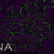 XNA Shader Programming Tutorial 13 Alpha Mapping