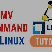 Linux Command Line Basics Tutorials Mv Command In Linux