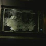 How To Make A Cloud Tank