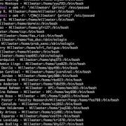 Basic UNIX Commands Awk