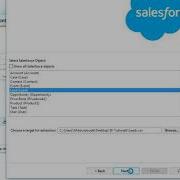 Salesforce Com How To Mass Update Records Using Data Loader