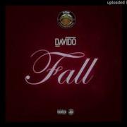 Davido Fall