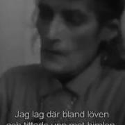 Sleeping With The Devil Witch Project