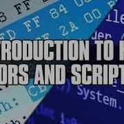 Introduction To Hex Editors And Scripting