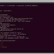 Exploit Development For Linux X86 Understanding NX