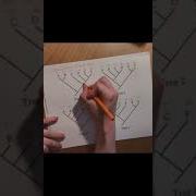Toolkit Tutorial Mapping Character States In A Phylogenetic Tree