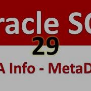 Oracle SQL Developer Tutorial For Beginners 29 DBA Info MetaData