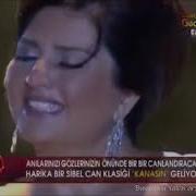SİBEL CAN KISKIVRAK 2010