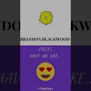 5 Brandon Blackwood Pieces I M Over The Glow Up Global