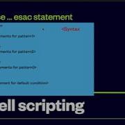 12 Linux Shell Scripting Case Esac Small Game Bash Linux Shellscripting