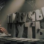 Паучье чутьё Fever Meme