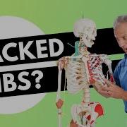 Cracked Broken Ribs Essential Precautions At Home Treatment And Recovery Time Updated