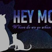 Hey Mom Warrior Cats OC