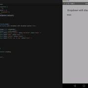 React Native Dropdown Picker With A Disabled Option