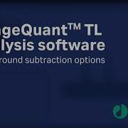 ImageQuant TL Analysis Software Background Subtraction Options