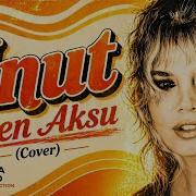 Unut Sezen Aksu Cover 90 Lar Türkçe Pop Sepya Band Music Production