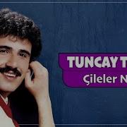 Tuncay Tuncel Çileler Neden