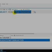 How To Convert A String To Hexadecimal In MySQL