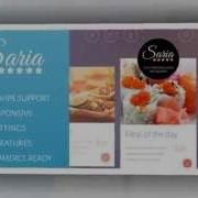 Saria Shop Flat Responsive Wordpress Theme Video ServerThemes Net