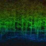 1117 Street Tree Scanning
