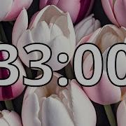 33 Minutes Timer With Music Spring Timer