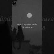 Diyar Pala Anla Sözleri