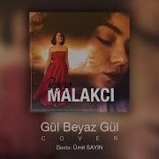 Beyza Malakcı Gül Beyaz Gül Cover Ümit Sayın