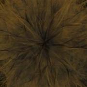 Procedural Art Generation In Processing