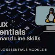 NDG Linux Essentials Module 5 Command Line Skills