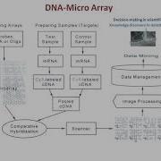 Microarray