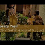 Zeytin Yaprağı Yeşil Serap Çiğdem Şahin Murat Küçükarslan