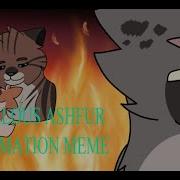 Jealous Ashfur Animation Meme