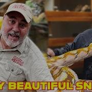 Angry Momma Python Defends Her Eggs I Had To Act Fast
