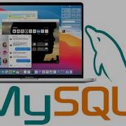 Как установить MySQL на Mac