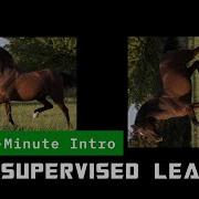 What Is Self Supervised Learning Quick Introduction