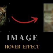 Add Text Overlays To Images On Hover With HTML CSS
