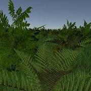 Foliage Shader Demo