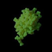 Ubiquitin Subsurface Scattering Test