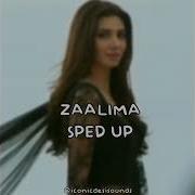 Zaalima Sped Up Raees