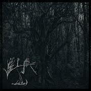 Self Affliction Full Album