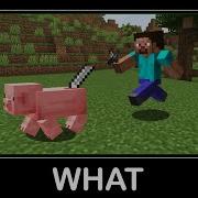 WAIT WHAT Minecraft 46