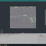 How To Use Manual Cell Counting In Mosaic 3 1 Step By Step Tutorial Tucsen Microscope Camera