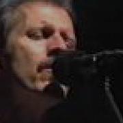 Michael Franks Down In Brazil