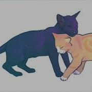 Stitches Crowfeather Map