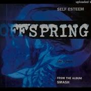 The Offspring Self Esteem Live MTV Italy 2001 Audio