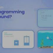 Learning Path For Non Programmers Absolute Beginners Log2Base2